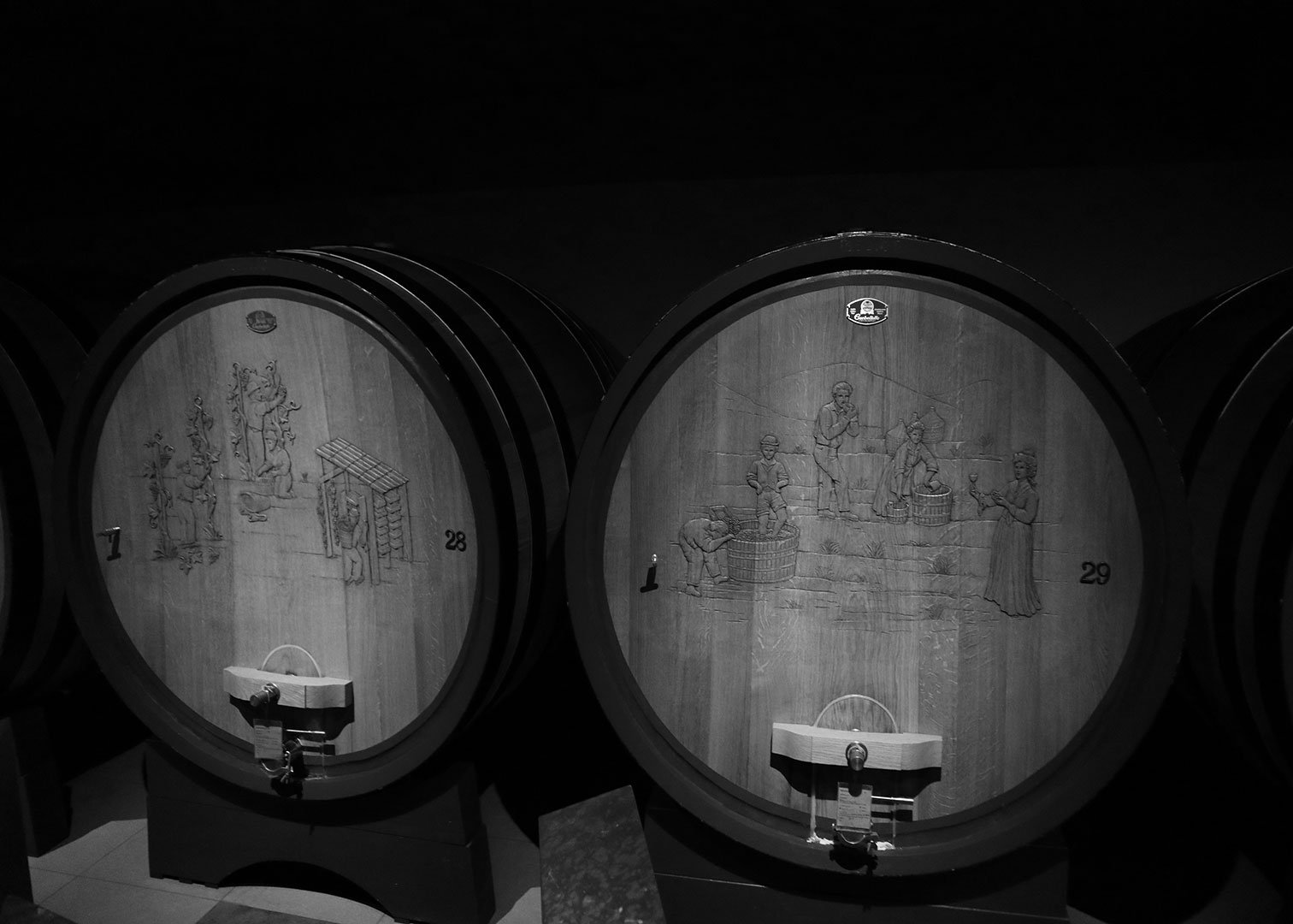 Dry passito wines between grace and majesty
